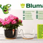 Blumat Classic Setup Guide